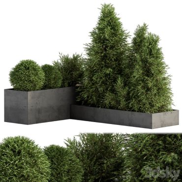 مدل سه بعدی گل فضای باز 309