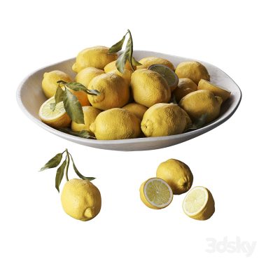 مدل سه بعدی میوه 301