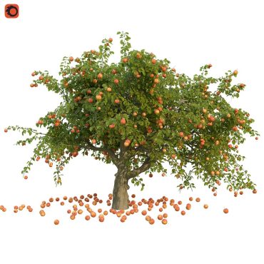 مدل سه بعدی درخت 285
