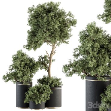 مدل سه بعدی گل و گلدان آپارتمانی 902