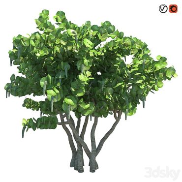 مدل سه بعدی درخت 105 مدل سه بعدی درخت 105