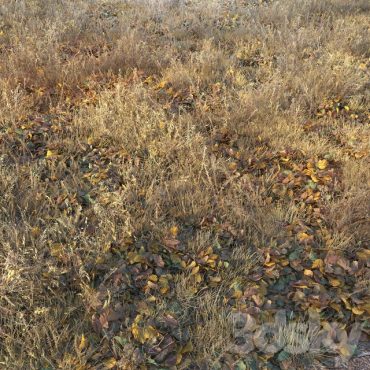 مدل سه بعدی چمن 111 مدل سه بعدی چمن 111