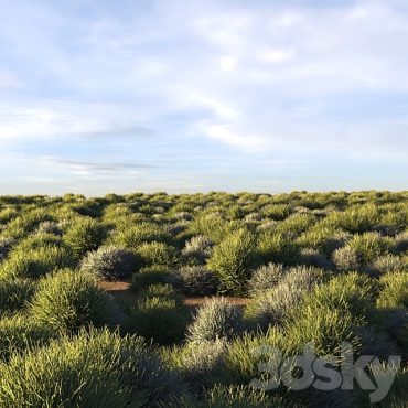 مدل سه بعدی چمن 114 مدل سه بعدی چمن 114
