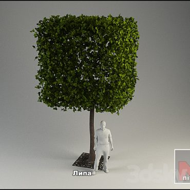 مدل سه بعدی درخت 113 مدل سه بعدی درخت 113