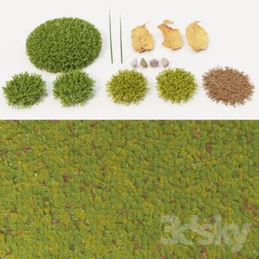 مدل سه بعدی چمن 109 مدل سه بعدی چمن 109