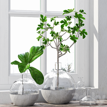 مدل سه بعدی گل آپارتمانی 102 مدل سه بعدی گل آپارتمانی 102