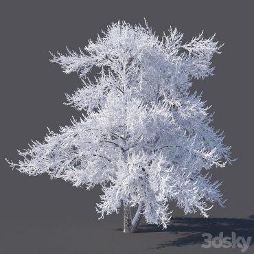 مدل سه بعدی درخت 125 مدل سه بعدی درخت 125
