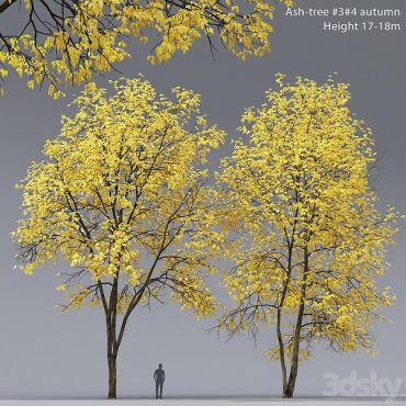 مدل سه بعدی درخت 119 مدل سه بعدی درخت 119