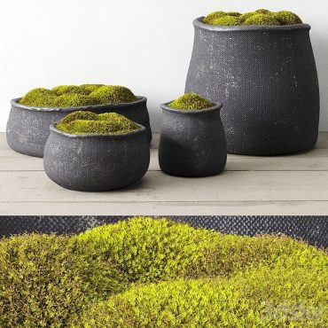 مدل سه بعدی گل فضای باز 105 مدل سه بعدی گل فضای باز 105