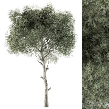 مدل سه بعدی درخت 130 مدل سه بعدی درخت 130