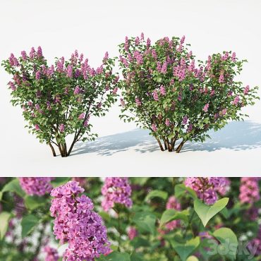 مدل سه بعدی درخت 134 مدل سه بعدی درخت 134