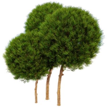 مدل سه بعدی درخت 142 مدل سه بعدی درخت 142