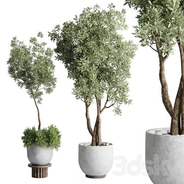 مدل سه بعدی گل و گلدان آپارتمانی 317 مدل سه بعدی گل و گلدان آپارتمانی 317