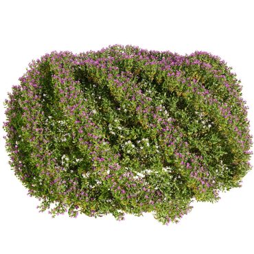 مدل سه بعدی درخت تزیینی 149 مدل سه بعدی درخت تزیینی 149