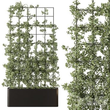 مدل سه بعدی گل دیواری 145 مدل سه بعدی گل دیواری 145