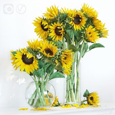 مدل سه بعدی گل و گلدان رومیزی 391 مدل سه بعدی گل و گلدان رومیزی 391