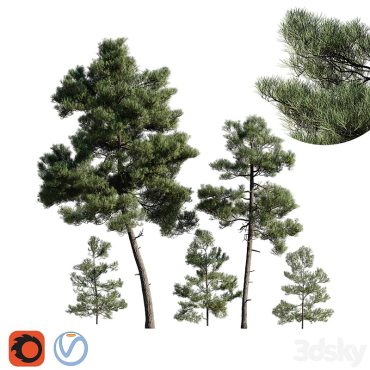 مدل سه بعدی درخت 168 مدل سه بعدی درخت 168