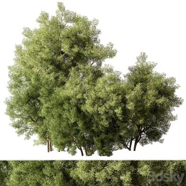 مدل سه بعدی درخت تزیینی 165 مدل سه بعدی درخت تزیینی 165