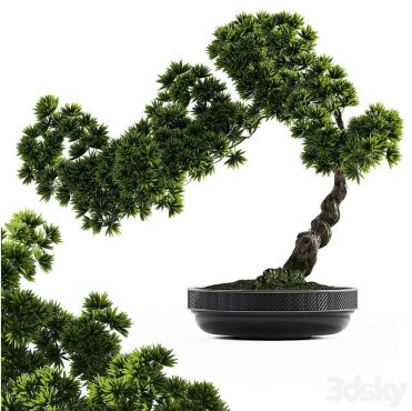 مدل سه بعدی گل و گلدان آپارتمانی 439 مدل سه بعدی گل و گلدان آپارتمانی 439