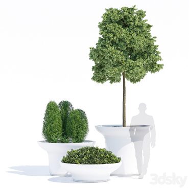 مدل سه بعدی گل فضای باز 160 مدل سه بعدی گل فضای باز 160