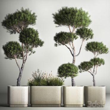 مدل سه بعدی گل و گلدان آپارتمانی 522 مدل سه بعدی گل و گلدان آپارتمانی 522