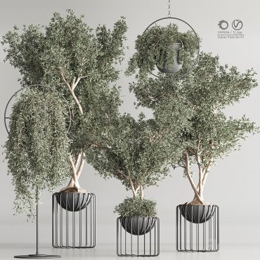 مدل سه بعدی گل و گلدان آپارتمانی 569 مدل سه بعدی گل و گلدان آپارتمانی 569