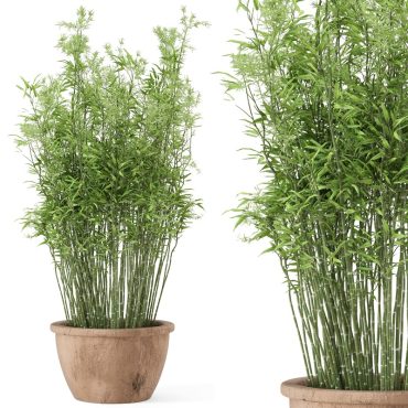 مدل سه بعدی گل فضای باز 205 مدل سه بعدی گل فضای باز 205