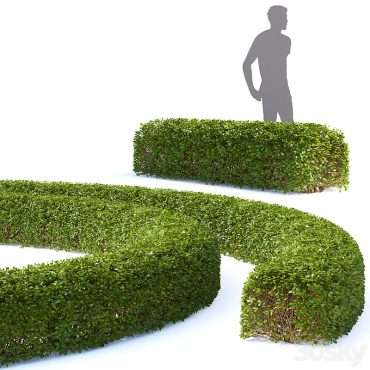 مدل سه بعدی گل فضای باز 209 مدل سه بعدی گل فضای باز 209