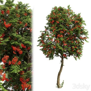 مدل سه بعدی درخت تزیینی 195 مدل سه بعدی درخت تزیینی 195