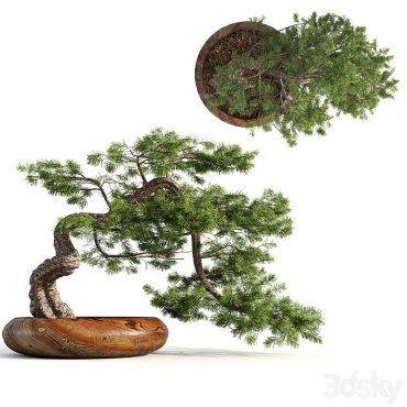 مدل سه بعدی گل و گلدان آپارتمانی 626 مدل سه بعدی گل و گلدان آپارتمانی 626