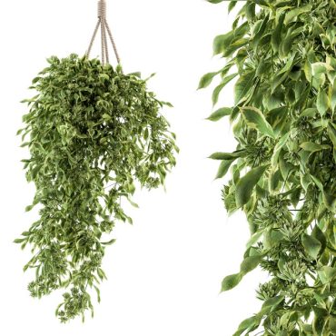 مدل سه بعدی گل آویز 175 مدل سه بعدی گل آویز 175