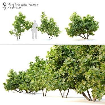 مدل سه بعدی درخت 217 مدل سه بعدی درخت 217