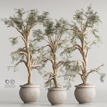 مدل سه بعدی گل و گلدان آپارتمانی 654 مدل سه بعدی گل و گلدان آپارتمانی 654