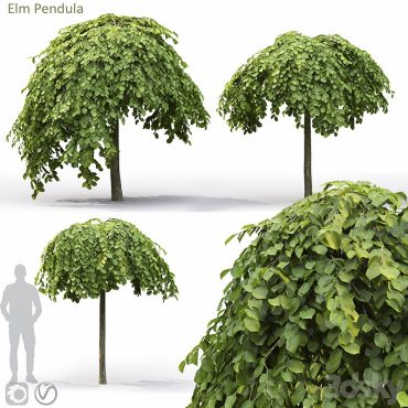 مدل سه بعدی درخت تزیینی 212 مدل سه بعدی درخت تزیینی 212