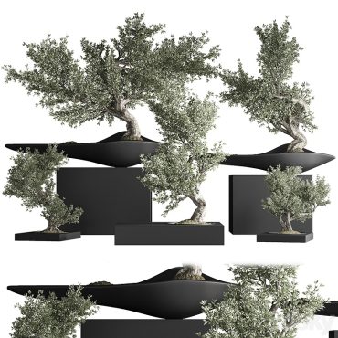 مدل سه بعدی گل و گلدان آپارتمانی 698 مدل سه بعدی گل و گلدان آپارتمانی 698