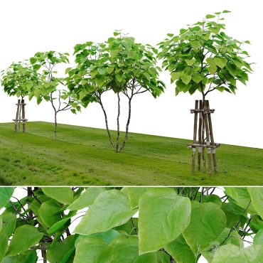 مدل سه بعدی درخت 221 مدل سه بعدی درخت 221