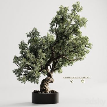 مدل سه بعدی گل و گلدان آپارتمانی 702 مدل سه بعدی گل و گلدان آپارتمانی 702