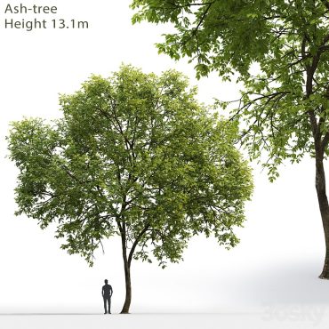 مدل سه بعدی درخت 265 مدل سه بعدی درخت 265