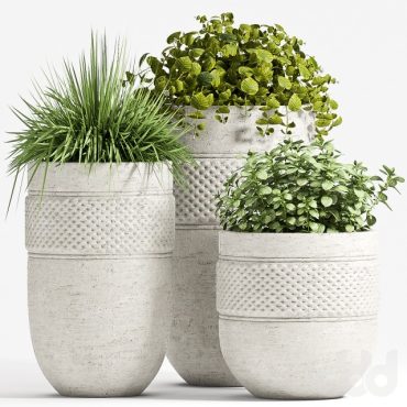 مدل سه بعدی گل و گلدان آپارتمانی 789 مدل سه بعدی گل و گلدان آپارتمانی 789