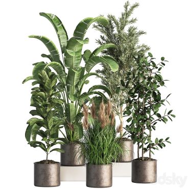 مدل سه بعدی گل آپارتمانی 840 مدل سه بعدی گل آپارتمانی 840