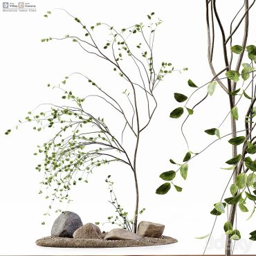 مدل سه بعدی گل فضای باز 306 مدل سه بعدی گل فضای باز 306