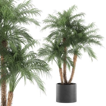 مدل سه بعدی گل آپارتمانی 859 مدل سه بعدی گل آپارتمانی 859