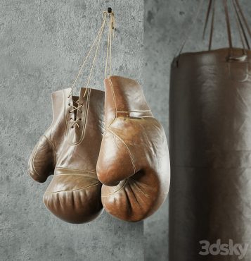 مدل سه بعدی تجهیزات بوکس 253 مدل سه بعدی تجهیزات بوکس 253