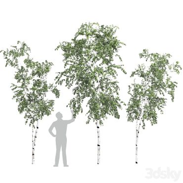 مدل سه بعدی درخت 332 مدل سه بعدی درخت 332